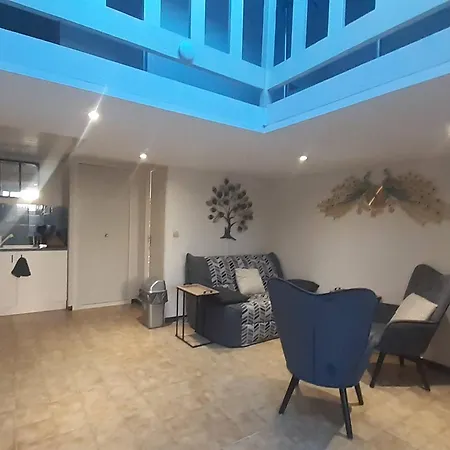 Villa Avec Clim Et Parking - 4 Pers. - Fr-1-81-767 Le Barcarès